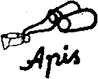APIS DENTAL
