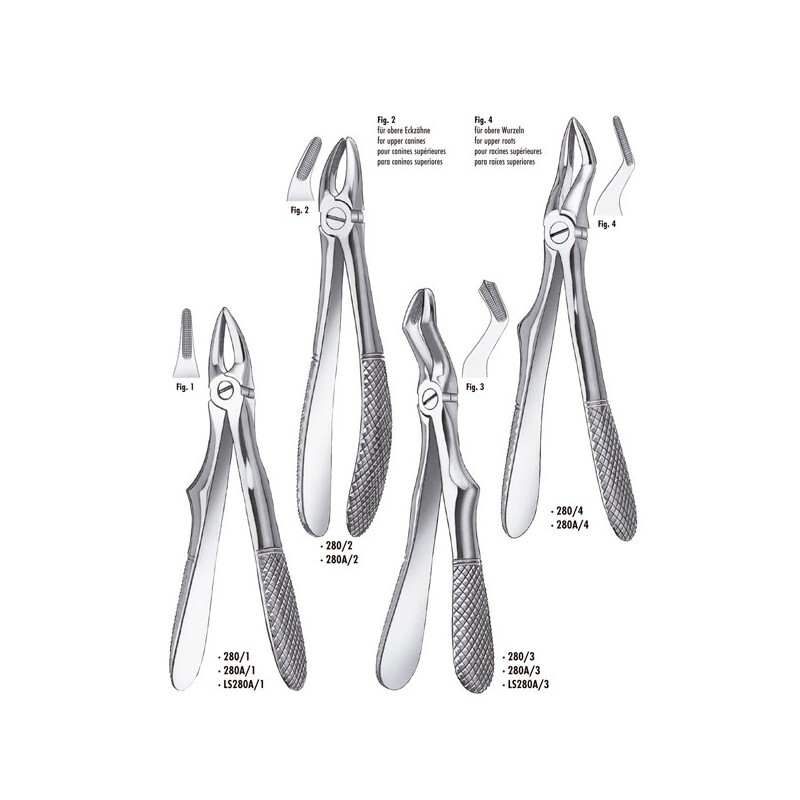 280a/3 forceps klein niño molar superior instrumental carl martin