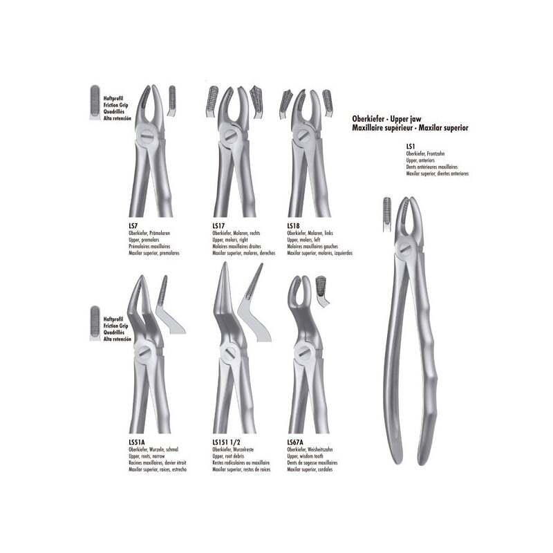 Ls7 forceps premolar superior liquid steel instrumental carl martin