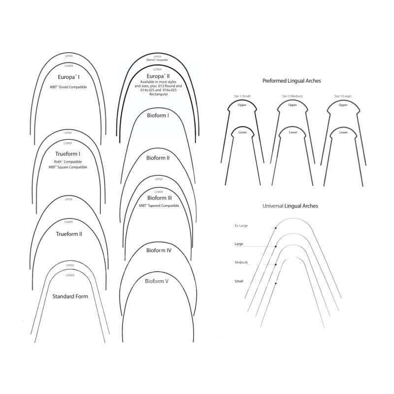 Arco g4 niti europa i superior 25 uds ortodoncia g&h orthodontics