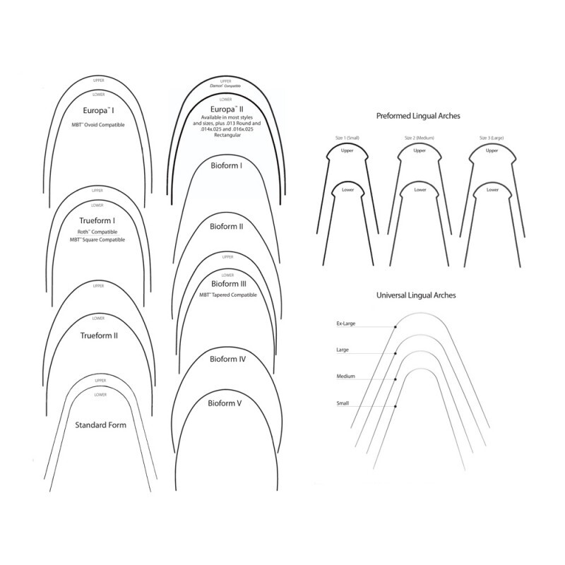 Arco titanmoly europa ii superior 10 uds ortodoncia g&h orthodontics