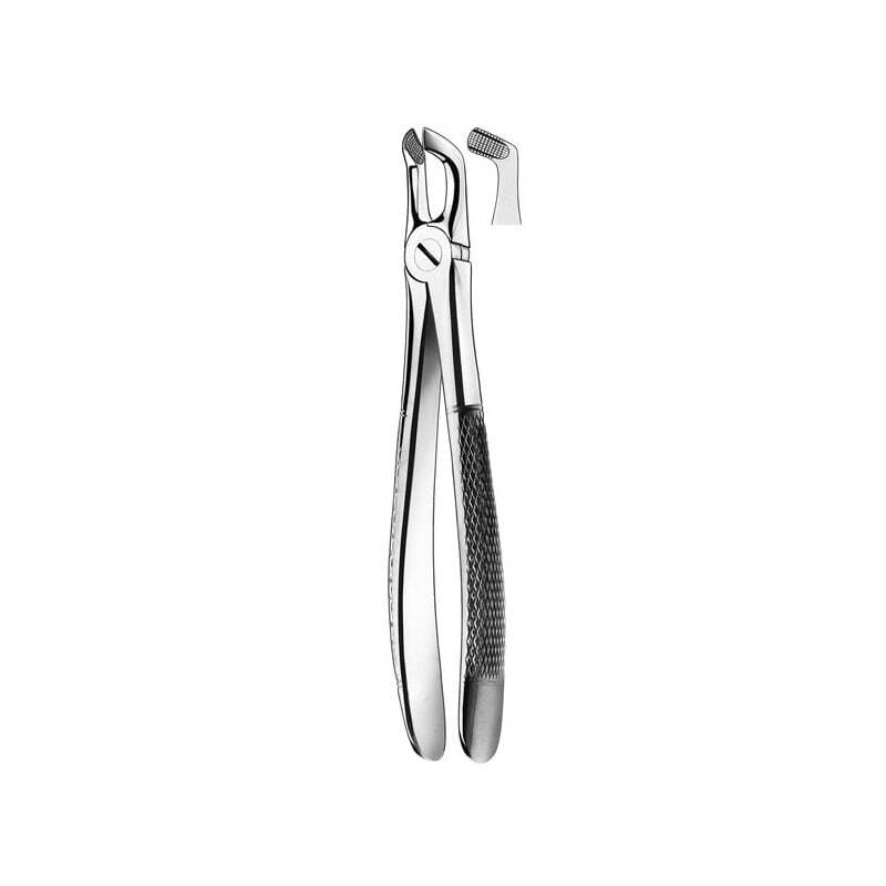 E79a forceps cordal inferior instrumental carl martin