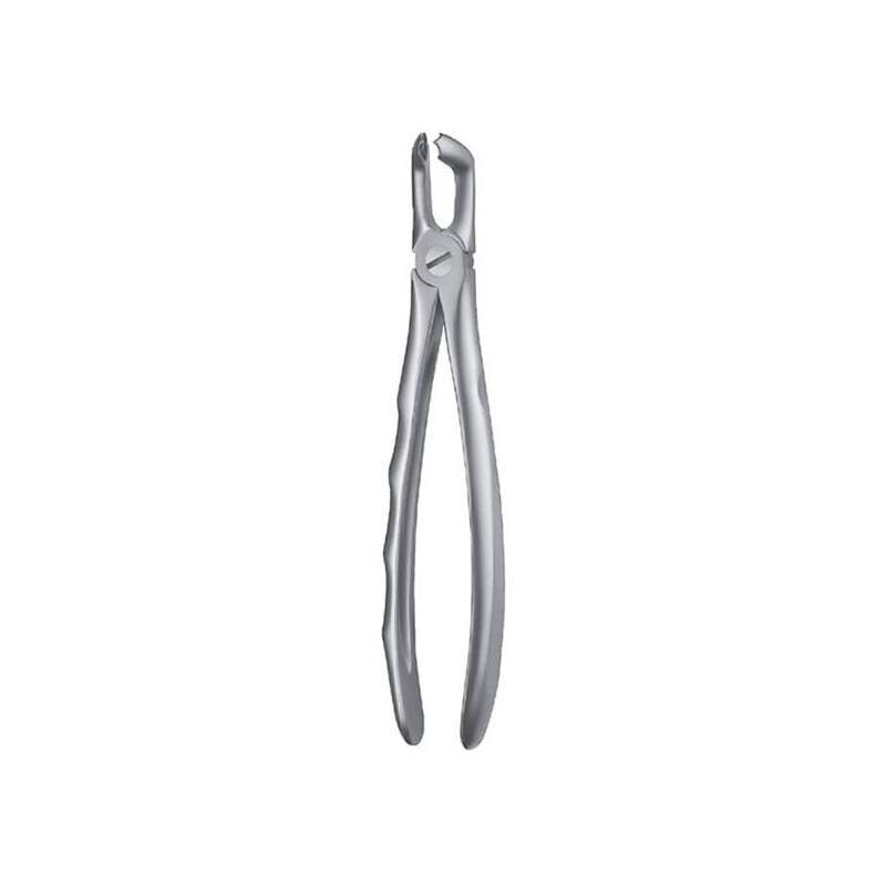 Forceps cordales inferior liquid steel instrumental carl martin