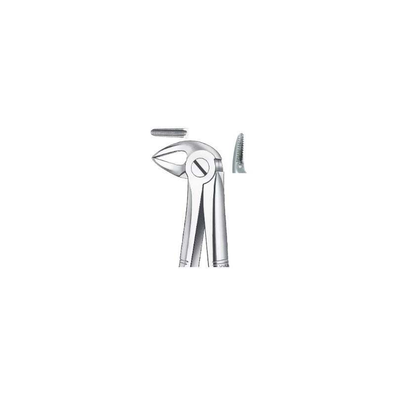 Forceps raices inferiores 33a carl martin instrumental carl martin