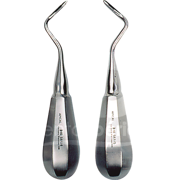 Elevateur 561 racine instruments carl martin