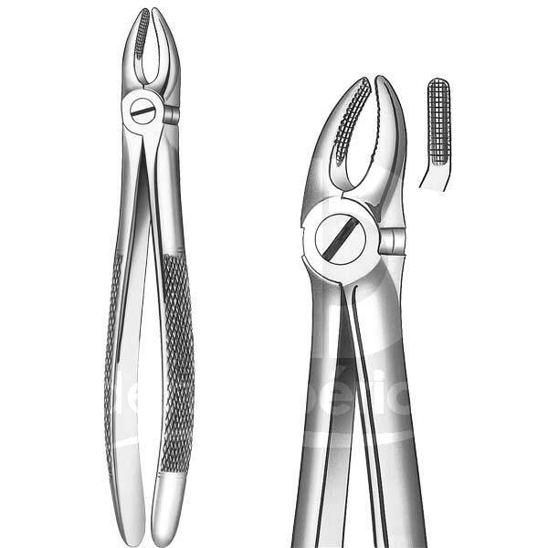 Davier n.1 incisives centrales supérieures instruments carl martin