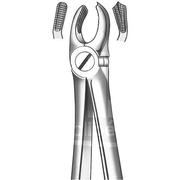 Davier n.17 molaires supérieures droit instruments carl martin