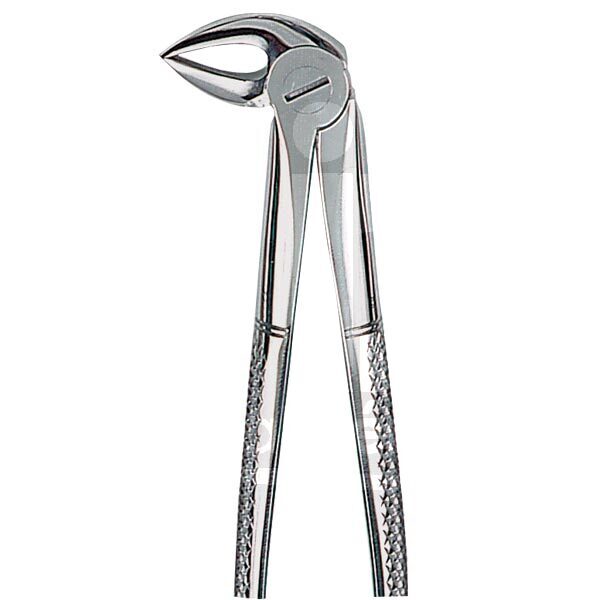 Davier n.33 racines inférieures instruments carl martin