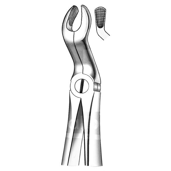 Davier n.67a dents de sagesse supérieures instruments carl martin