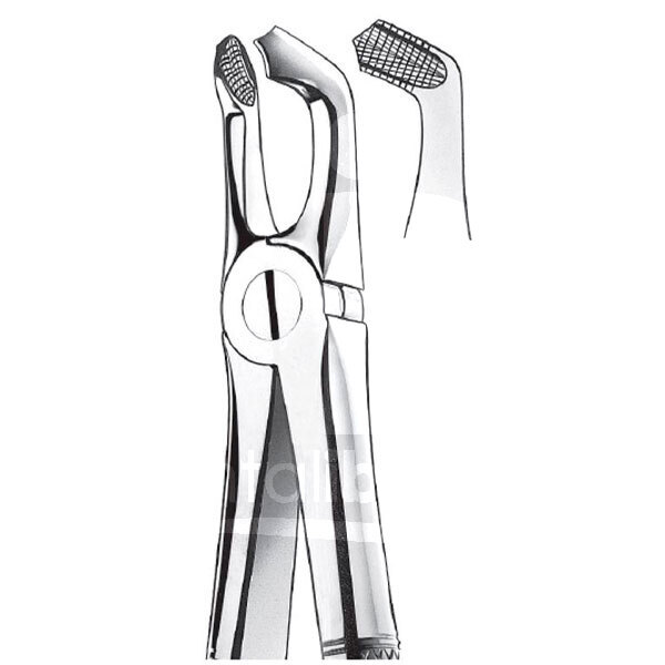 Davier n.79 dents de sagesse inférieures instruments carl martin