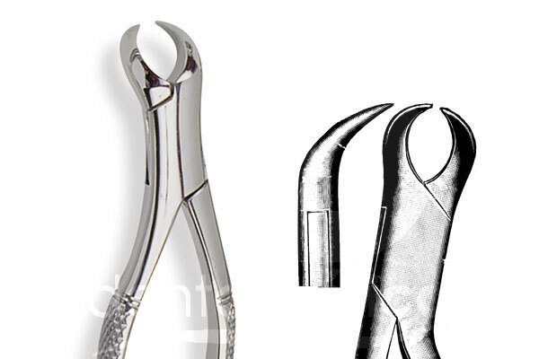 Davier n.409/16 molaires inférieures – corne de vache instruments carl martin