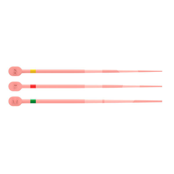 Trunatomy conform fit gutta endodontie dentsply maillefer