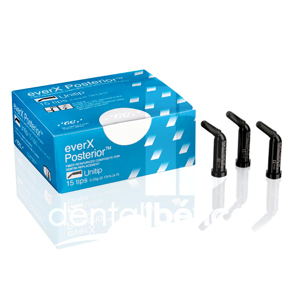 Ever x posterior restauration gc