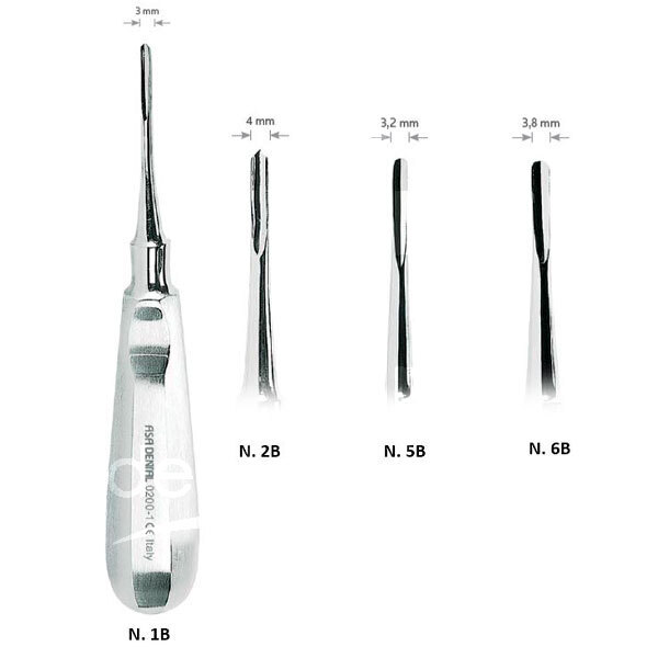 Elevateur  bein asa instruments asa dental
