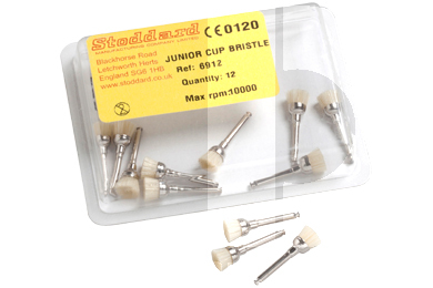 Brossette soie prophylaxie contre-angle prévention et prophylaxie stoddard