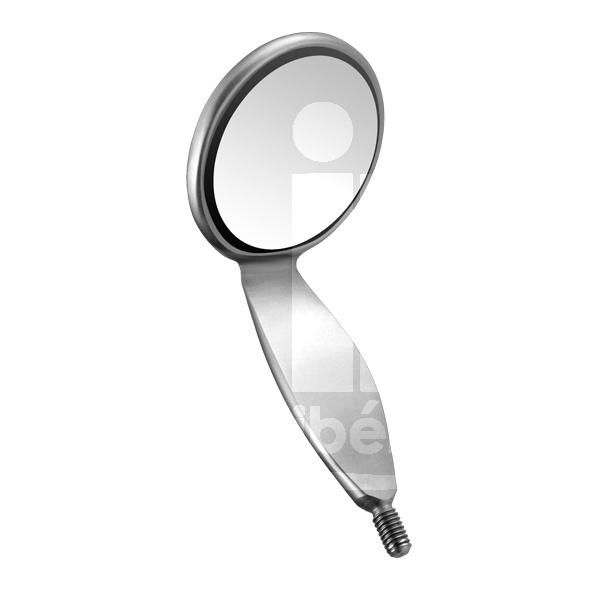 Miroir filetage europeen instruments carl martin