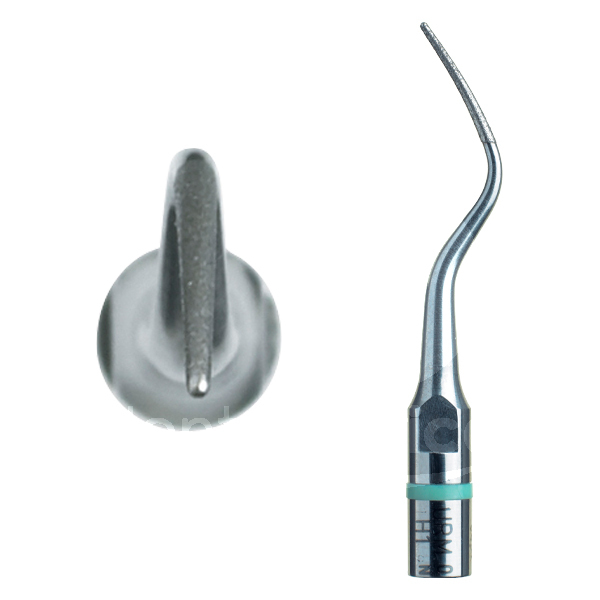 Insert perio h1 prévention et prophylaxie acteon