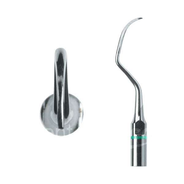 Insert perio h3 prévention et prophylaxie acteon