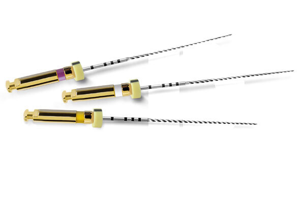 Limes pathfile nº 013-019 maillefer endodontie dentsply maillefer