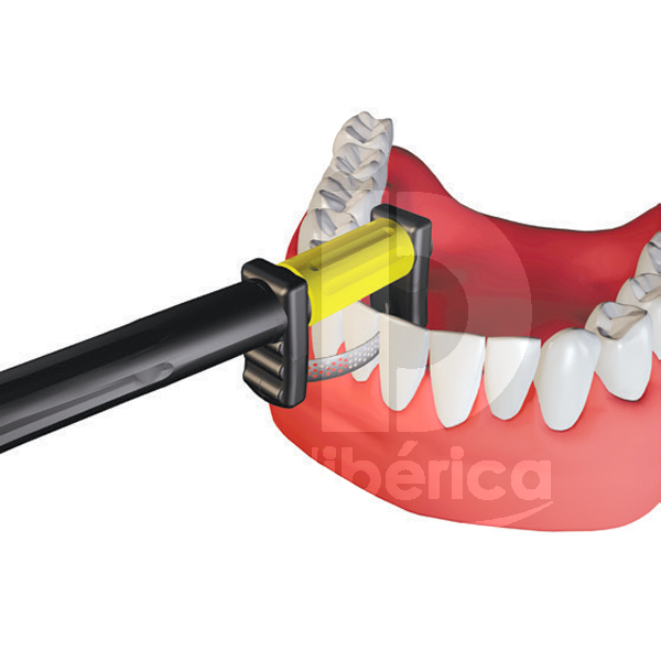 Sunset strip double face instruments garrison