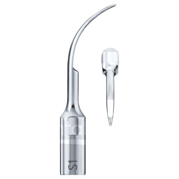 Insert s1 prévention et prophylaxie mectron